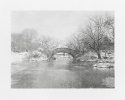 EWAN GIBBS: TX / NY